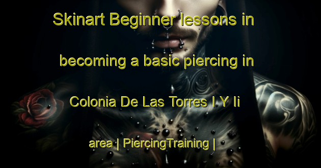 Skinart Beginner lessons in becoming a basic piercing in Colonia De Las Torres I Y Ii area | PiercingTraining | PiercingClasses | SkinartTraining-Mexico